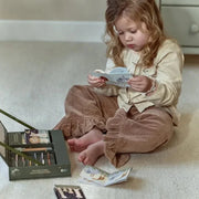 Little Dutch - Historie projekter
