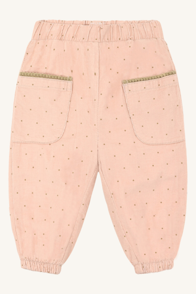 HCTrine Dotty