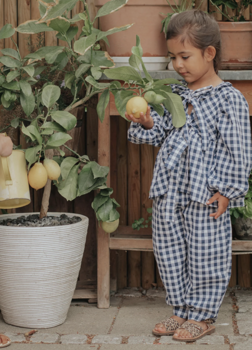 ZORRO LS BLOUSE - INSIGNIA SANDSHELL CHECK