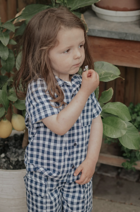 ZORRO SS SHIRT - INSIGNIA SANDSHELL CHECK