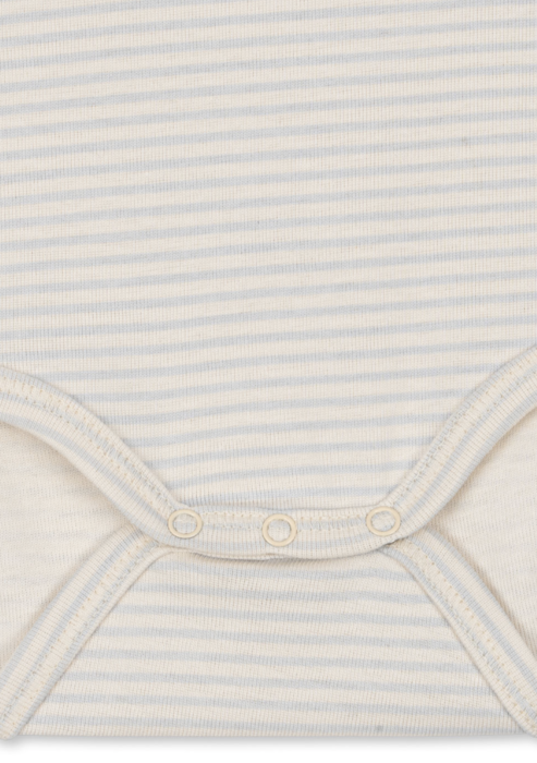 FIO STRIPE LS BODY OCS
