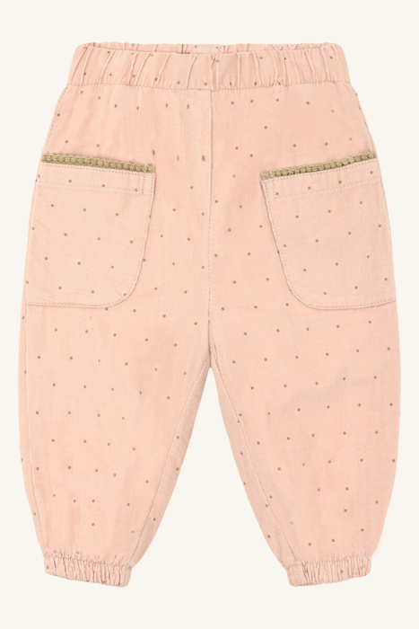 HCTrine Dotty