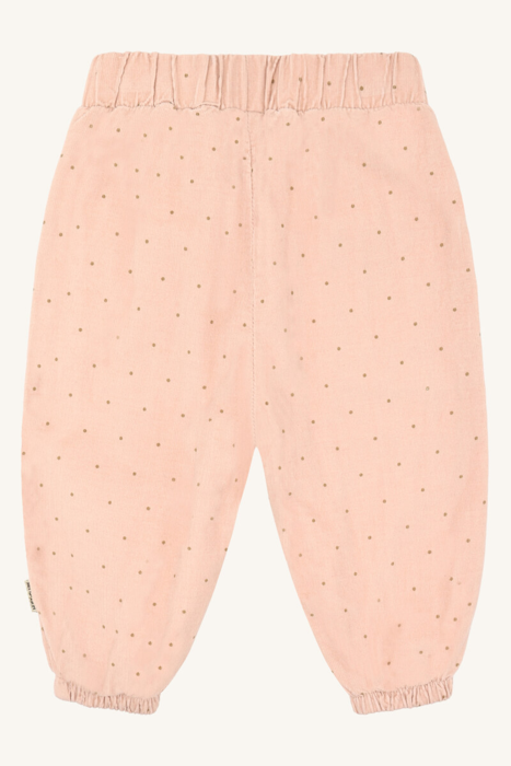 HCTrine Dotty