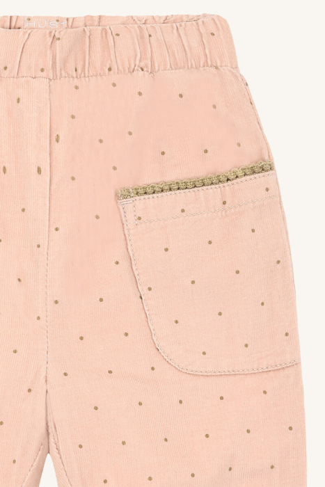 HCTrine Dotty