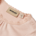 Rib Body S/S Edna