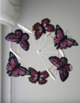 Uro, Sommerfugl, Pink