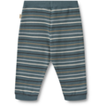 Jersey Pants Leo
