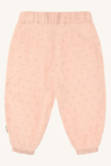 HCTrine Dotty