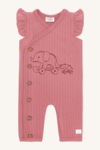 HCMiles Elephant